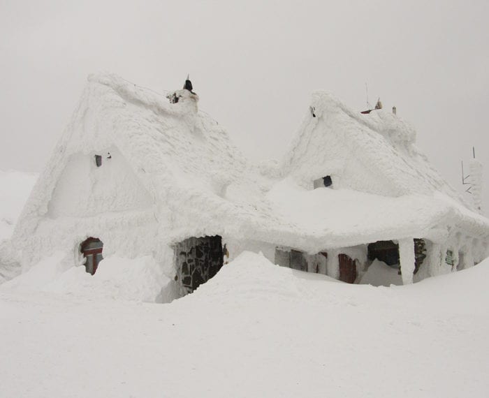 snowy homes | Homesense