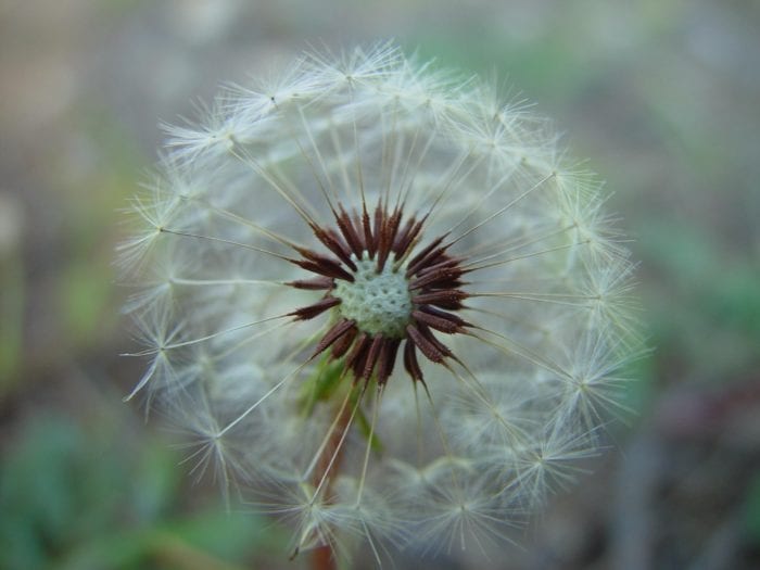 3 HVAC Products to Help Your Allergies in Indiana