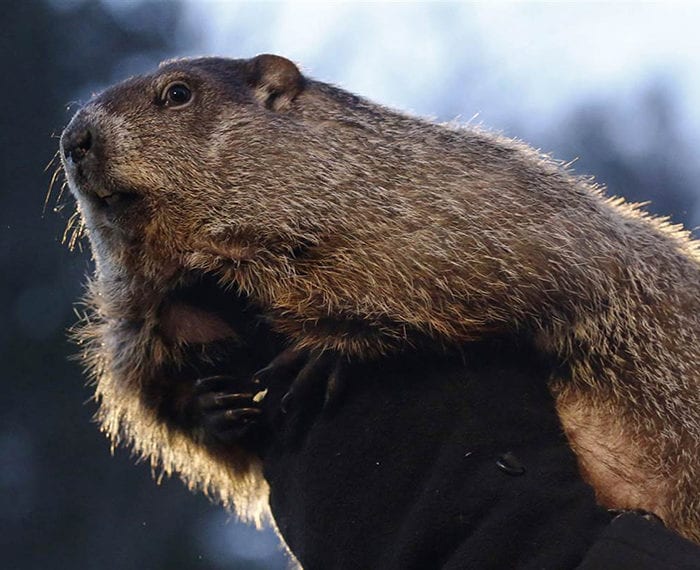 how to keep house warm