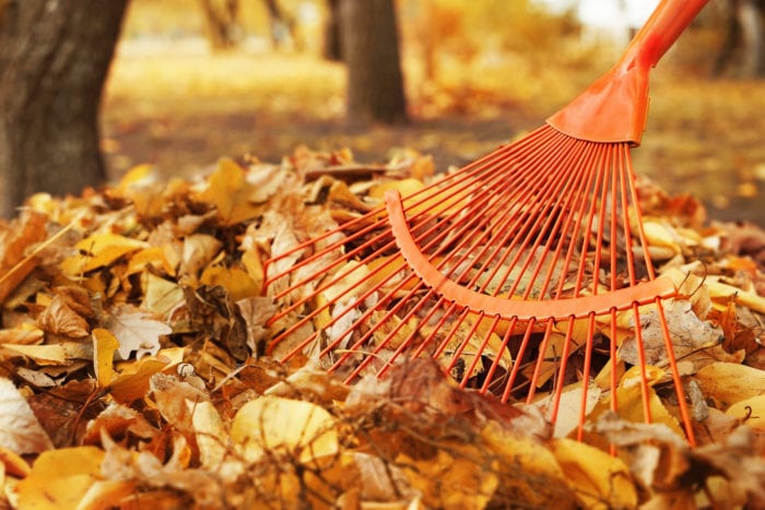 How to Lower Energy Bills in Fall and Winter in Indianapolis | Homesense