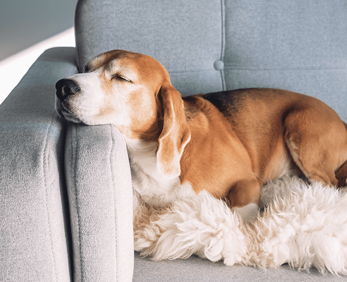 thermostat repair indianapolis