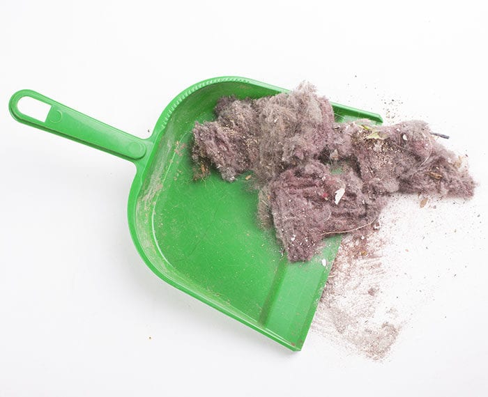dustpan with dust preview pic | Is Heating and Cooling Duct Cleaning Worth It | Homesense